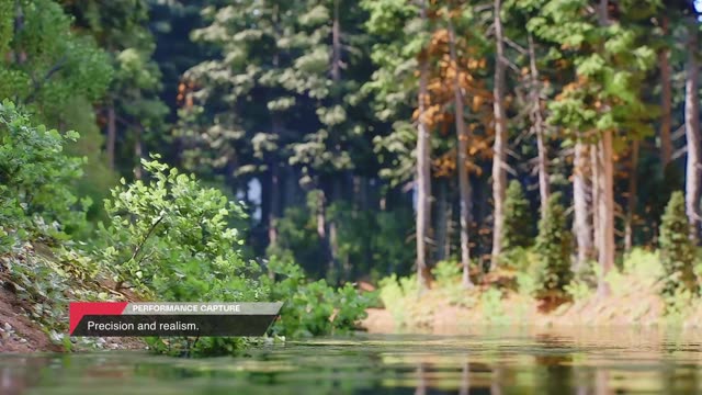 Computer-generated forest scene from the Veles reel